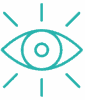 vision icon